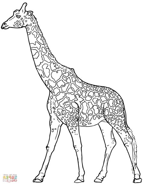 zürafa boyama resmi